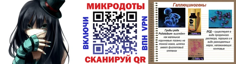Псилоцибиновые грибы Psilocybe  Карасук 
